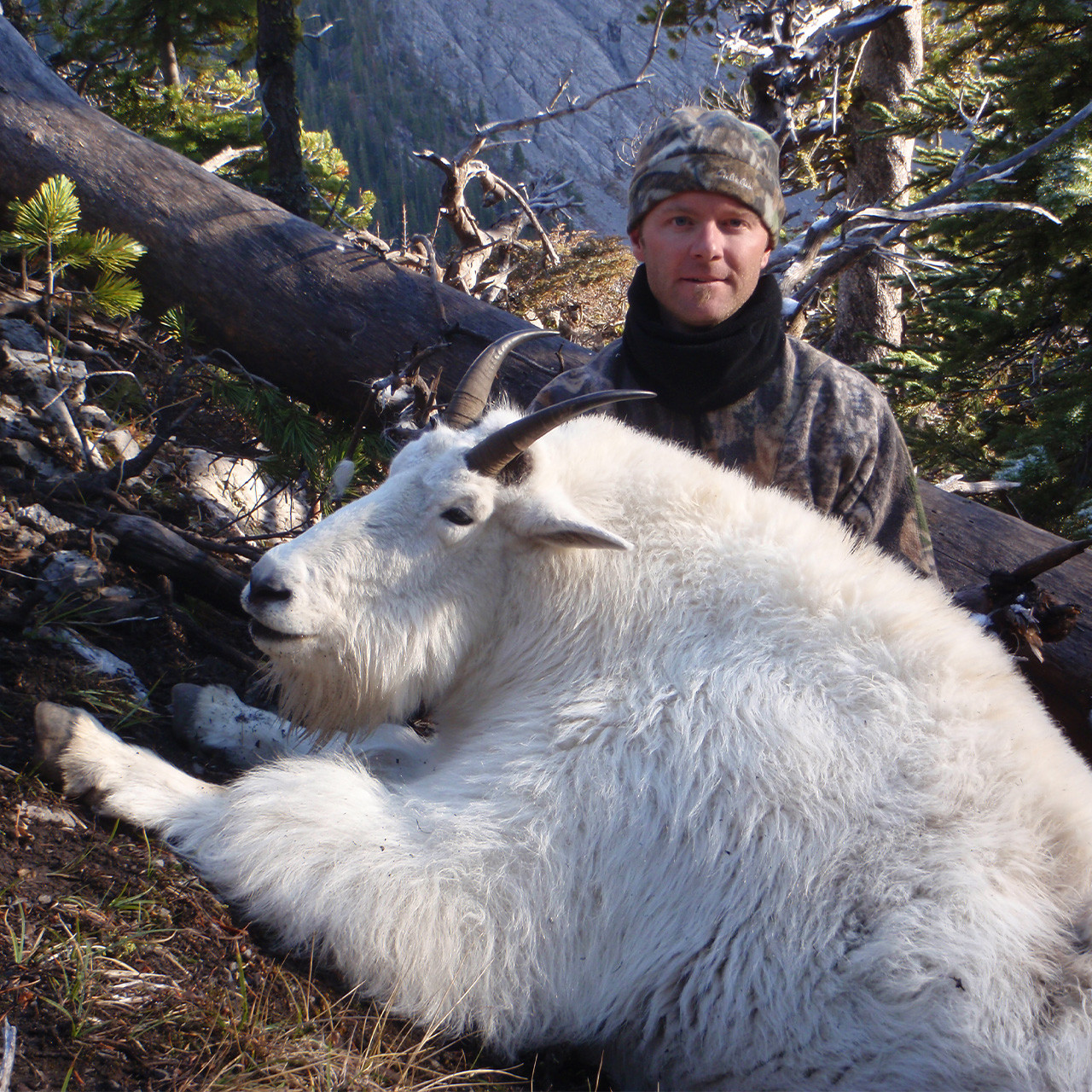 Mountain Goat - British Columbia - 1102