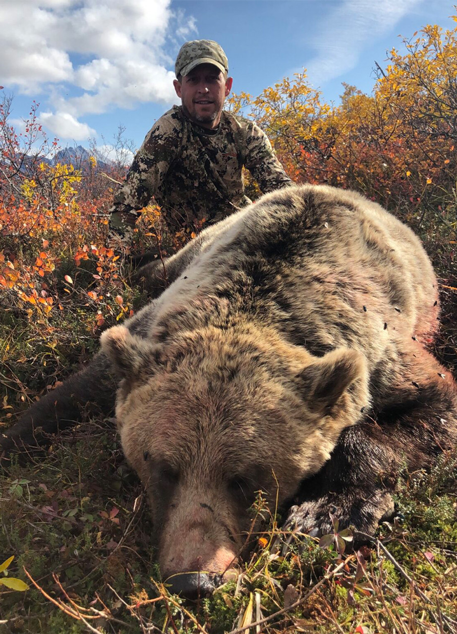 Brown bear hunt in Alaska