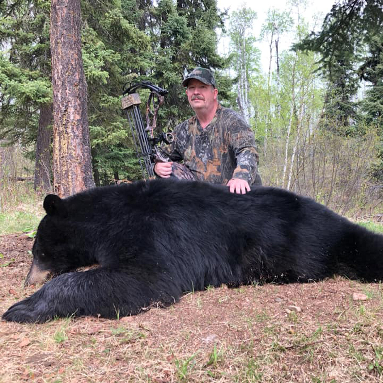 Spring Bear Hunt in Saskatchewan