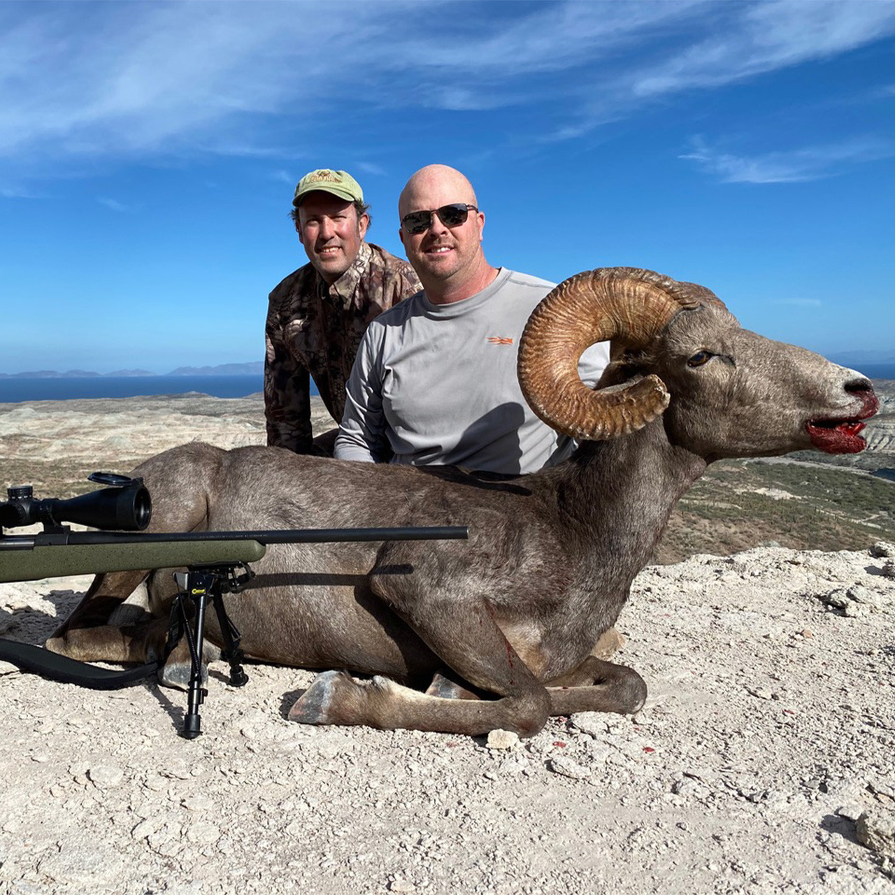 Weemsi Desert Bighorn Sheep - South Baja, Mexico -1034