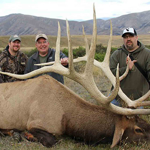 Wapiti Hunt in New Zealand