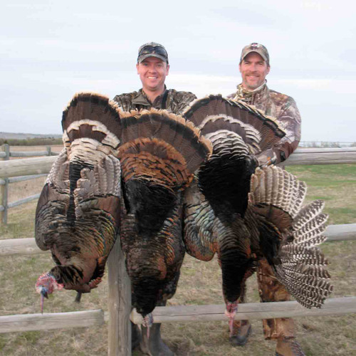 Merriam's turkey hunt at Prairie King Ranch