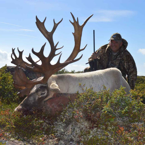 Woodland Caribou hunt in Newfoundland