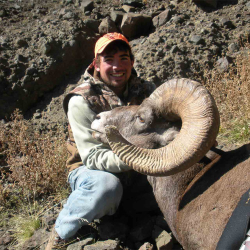 Rocky Mountain Bighorn Sheep Hunt In Wyoming