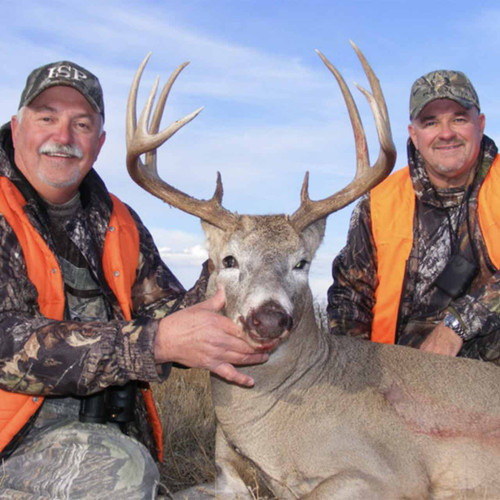 Whitetail hunt in Montana 