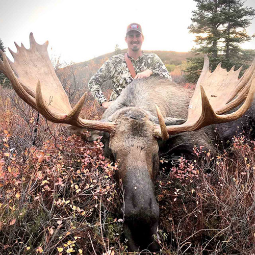 Fully guided Alaska Moose hunt.