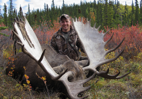 Moose - Alaska - 1161