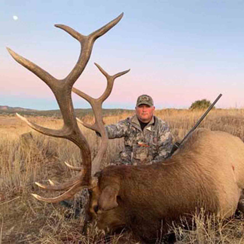 Elk hunt in New Mexico
