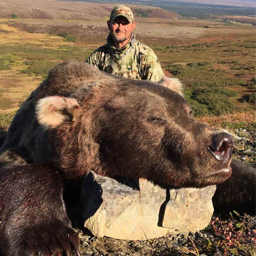 Brown Bear Hunts in Alaska