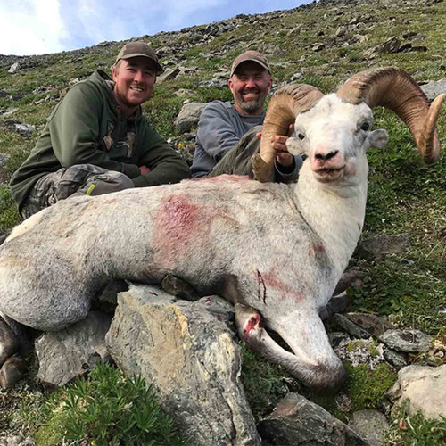 Stone Sheep Hunts in British Columbia