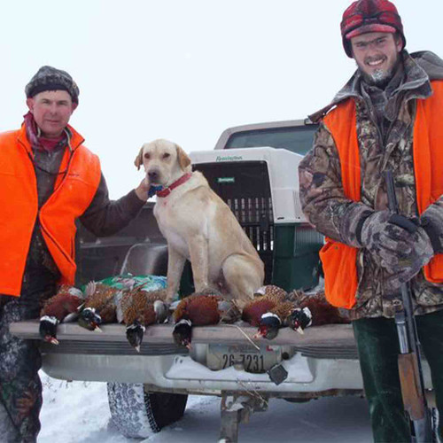 Upland Bird Winghoot Hunts