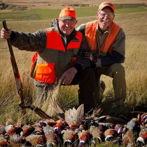 Upland bird hunt in South Dakota