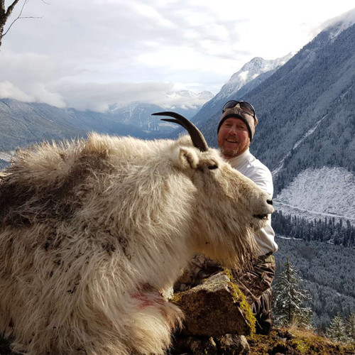 Mountain Goat - British Columbia - 1038