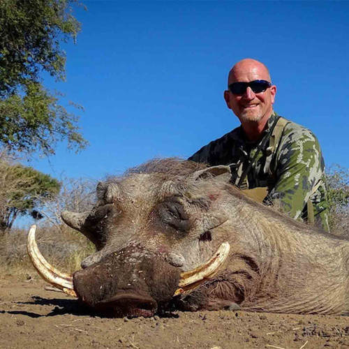 Trophy Warthog, Impala & Wildebeest - South Africa - 1061