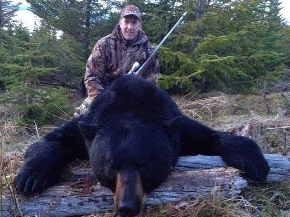 Newfoundland Bears. Big Bruins, More Fun.