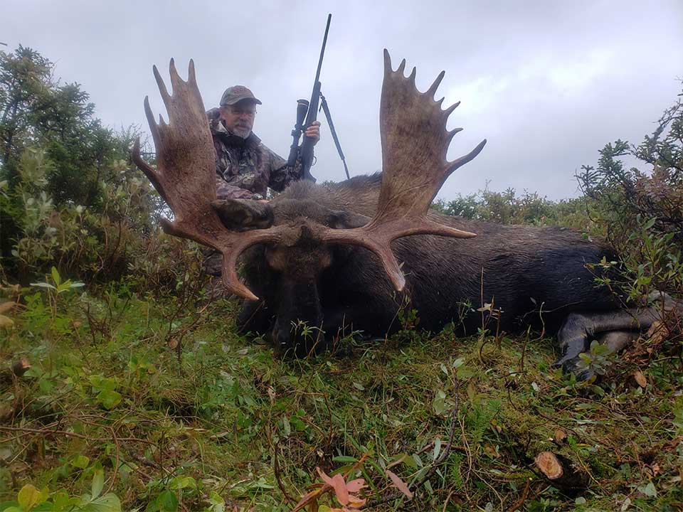 The Affordable Trophy Moose Hunt that You Should Book Now!