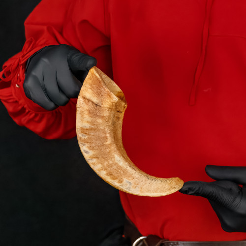 Natural Decorative Ram Drinking Horn