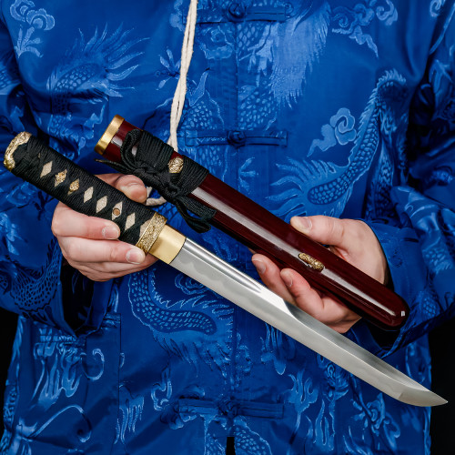 Asuka 18" Hand-Forged Tanto with Ray Skin Handle – 1060 Steel Black Scabbard