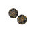 Starlight Star Bright Horn Button Set