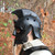 Maximus Roman Gladiator Blackened 18g Helmet