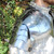 Complete Medieval Arms Armor Set