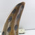 Distressed Concave Genuine Cow Horn Paperweight