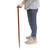 Half-Crook Sheesham Wood Grip Cane