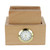 Classical Time in a Box Wooden Coasters