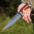 12.25" Fixed Blade Knife – Mirror Polish Stainless Steel Drop Point w/ Blood Groove, Red-Brown Hardwood Handle & Sheath