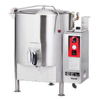 Vulcan Steam Kettle