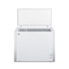 Commercial Chest Freezers