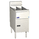 Electric Fryer