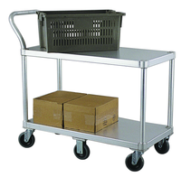 New Age Carts and Caddies