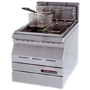 Gas Fryer