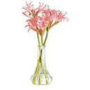 Bud Vases and Accent Vases