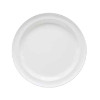 Reusable Plastic Plate