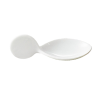 CACChina Appetizer and Tasting Spoon