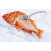 Matfer Seafood Tools