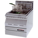 Gas Fryer