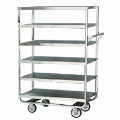 Lakeside Storage and Transport Carts
