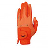 Zoom Weather Style Golf Gloves