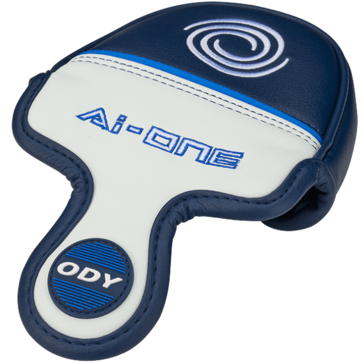 Odyssey Ai-ONE 2 Ball CH Golf Putter | Golf Support