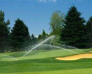 Golf Courses Not as Environmentally Detrimental as Commonly Thought