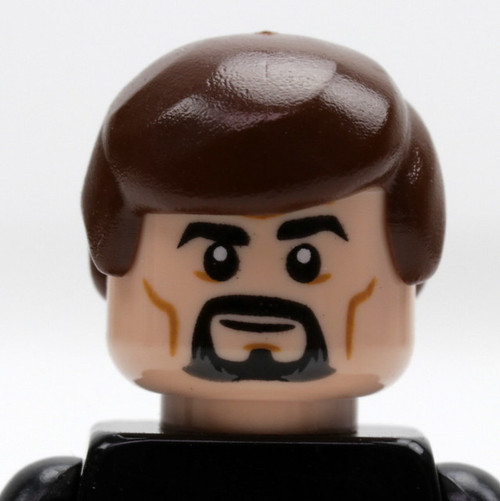 Male Head -  brown hair- goatee