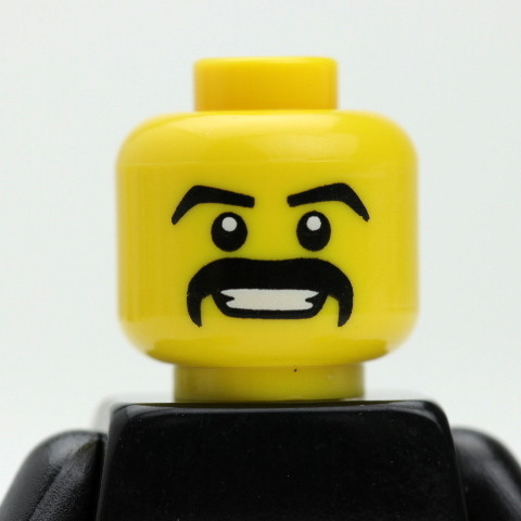 Male Head - bald - handle bar mustache - smiling