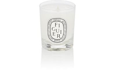 Figuier Mini-Candle