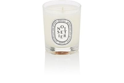 Noisetier Mini-Candle