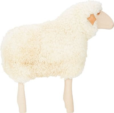 Looking Ahead Lamb