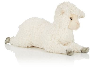 Lying Cuddly Lamb