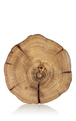 Woodland Placemat